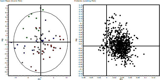 試料のタイプのPCAプロット（左）と117のタンパク質スポット（右）