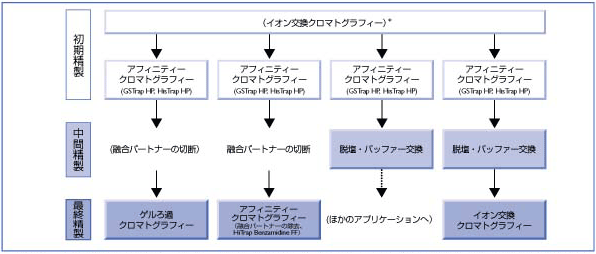 GST/His タグ融合タンパク質の精製ストラテジー