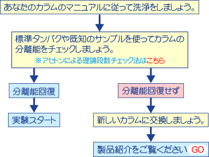 診断C ガイド