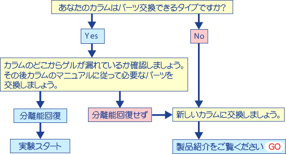 診断D ガイド