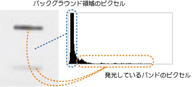 バンドとバックグラウンドのヒストグラム