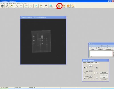 ImageQuant™ Imagerの取込みソフト画面