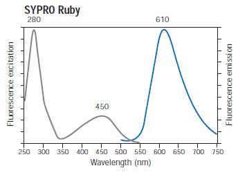 SYPRO™ Ruby波長