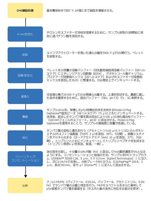 図1.2