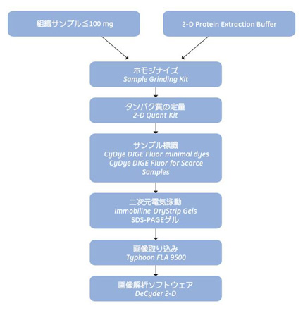 図2.5