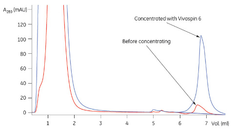 CHO細胞培養上清をVivaspin™ 6で濃縮し、HiTrap™ MabSelect SuRe™を用いてアフィニティークロマトグラフィーを行った結果。 