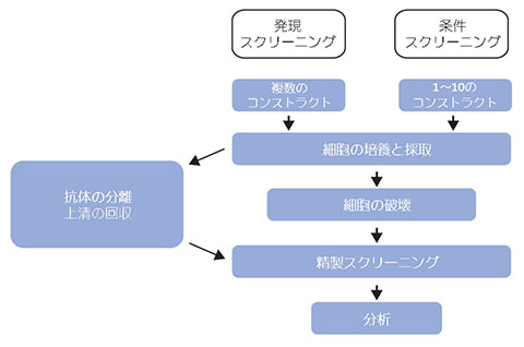 図5.10