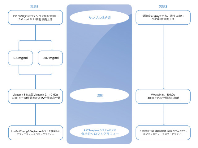 Vivaspin™を使用したタンパク質濃縮実験におけるワークフロー