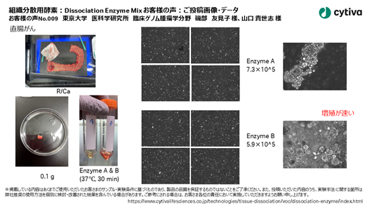 組織分散用酵素：Dissociation Enzyme Mix お客様の声 No009 東京大学　医科学研究所　臨床ゲノム腫瘍学分野　磯部　友見子 様、山口 貴世志 様