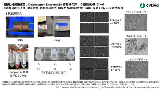 組織分散用酵素：Dissociation Enzyme Mix お客様の声 No010 東京大学　医科学研究所　臨床ゲノム腫瘍学分野　磯部　友見子 様、山口 貴世志 様