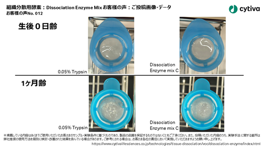 組織分散用酵素：Dissociation Enzyme Mix お客様の声 No012