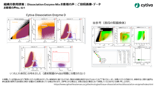 組織分散用酵素:Dissociation Enzyme Mix お客様の声 No021 組織分散用酵素:Dissociation Enzyme Mix お客様の声 No021