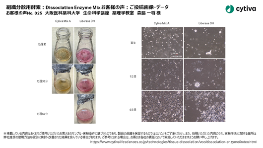 組織分散用酵素:Dissociation Enzyme Mix お客様の声 No025 大阪医科薬科大学 医学部 生命科学講座 薬理学教室 森脇 一将 様 組織分散用酵素:Dissociation Enzyme Mix お客様の声 No025 大阪医科薬科大学 医学部 生命科学講座 薬理学教室 森脇 一将 様