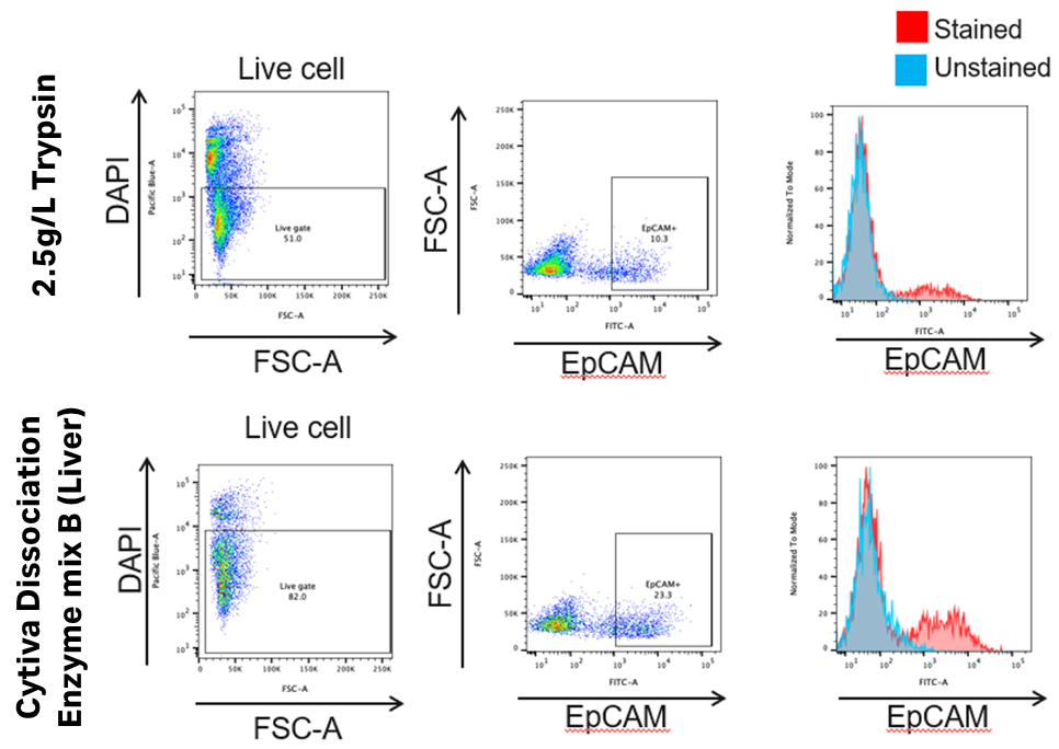 正常ヒト肺組織サンプル 約300mgをwholeで使用