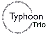 Typhoon™ Logo