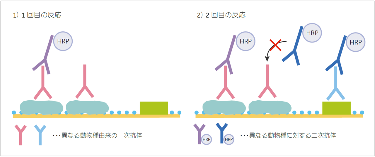 リプロービングの流れ