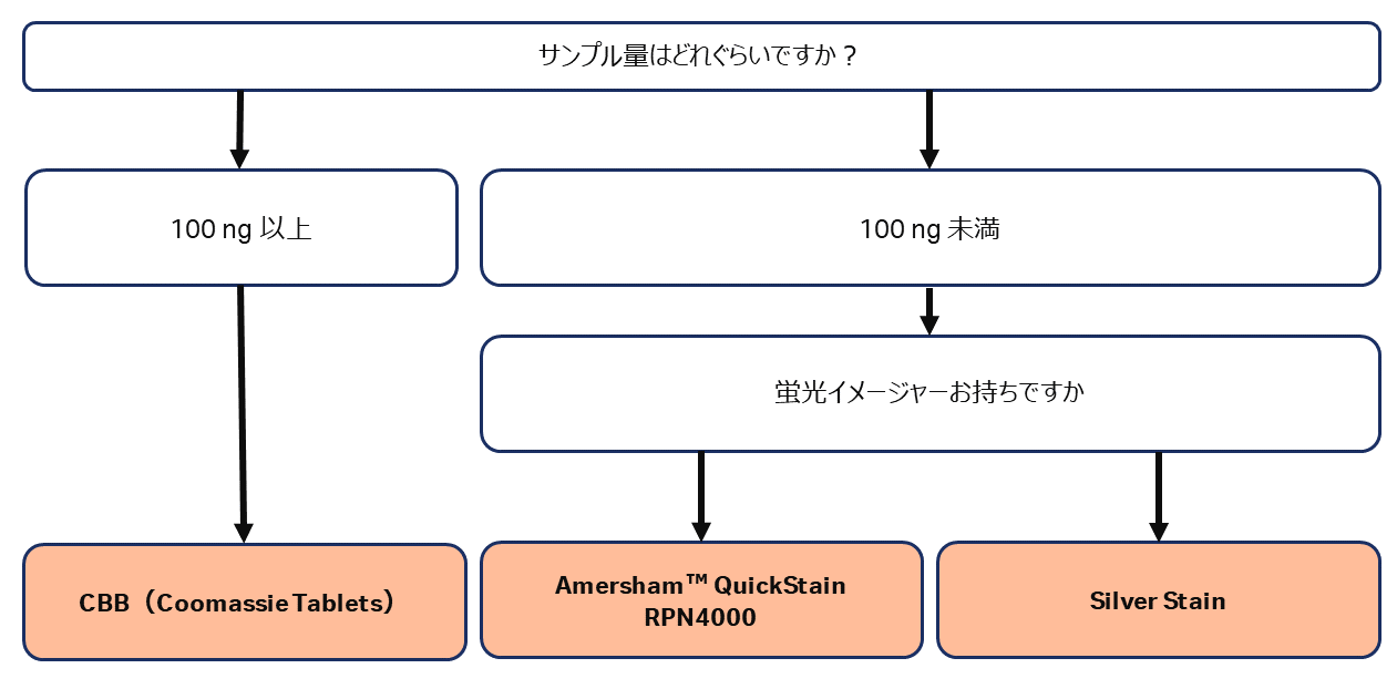 サンプル量から手法を選ぶフロー図