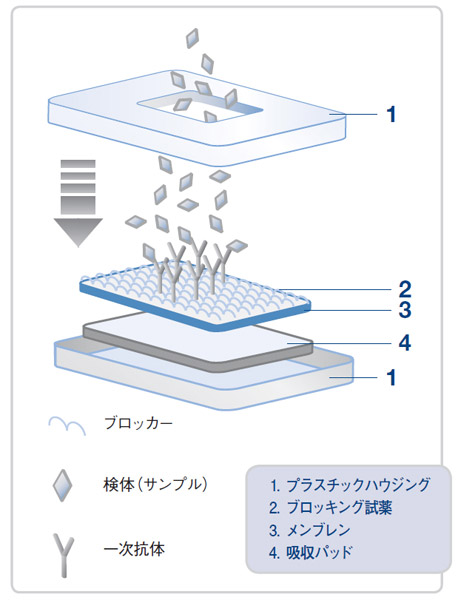 フロースルーの構成